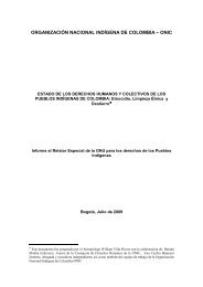 Informe Onic a Relator ONU - Instituto de Estudios Humanitarios