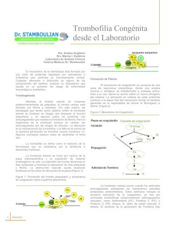 Algoritmo para el Estudio de las Disgammaglobulinemias - Revista ...