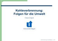 Kohleverbrennung: Folgen für die Umwelt