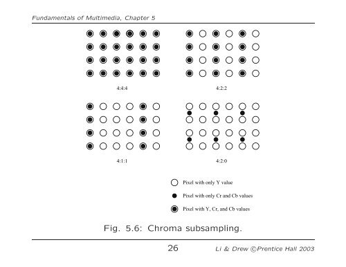 Fundamental Concepts in Video