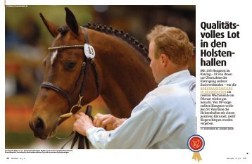 Qualitäts- volles Lot in den Holsten- hallen - Pferd+Sport