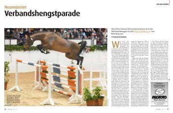 hengst parade - Pferd+Sport