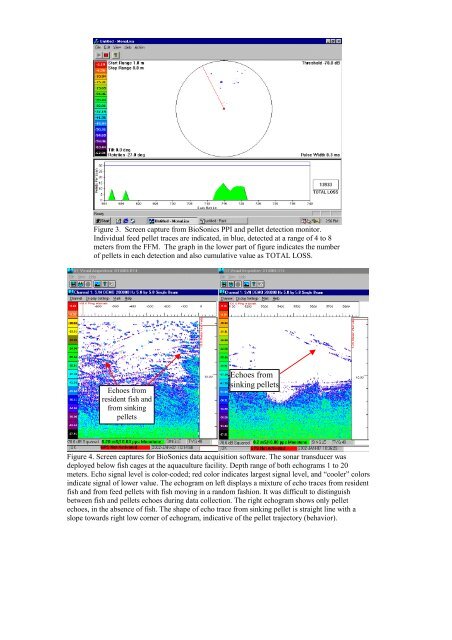 Digital scanning sonar for fish feeding monitoring in ... - BioSonics, Inc