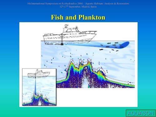 Aquatic Habitat Monitoring and Mapping: Digital ... - BioSonics, Inc