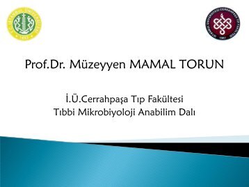 Prof.Dr.Müzeyyen Mamal Torun