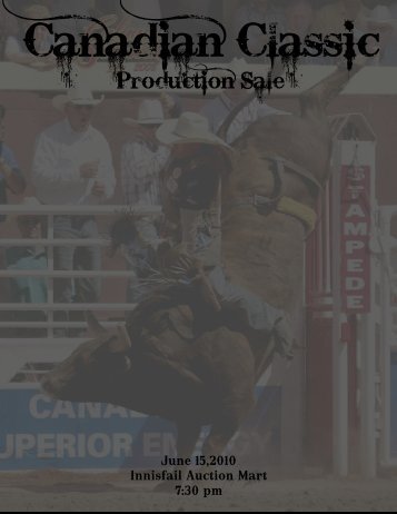 Production Sale - Armstrong Bucking Bulls