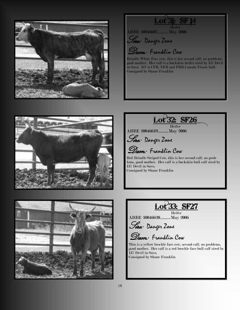 Production Sale - Armstrong Bucking Bulls