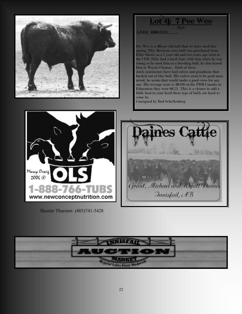 Production Sale - Armstrong Bucking Bulls