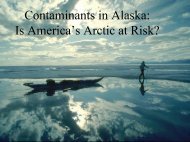 Is America's Arctic at Risk? - Alaska Native Science Commission