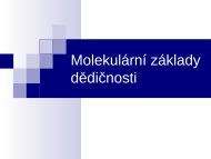1.pÅednÃ¡Å¡ka â MolekulÃ¡rnÃ­ zÃ¡klady dÄdiÄnosti - Sweb.cz