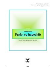 Park- og hagedrift - Vea