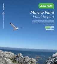 Marine Paint Final Report - Mistra
