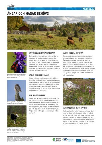 ÃNGAR OCH HAGAR BEHÃVS - Upplandsstiftelsen