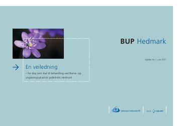 BUP Hedmark - Sykehuset Innlandet HF