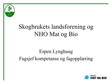 Espen Lynghaug, fagsjef Skogbrukets Landsforening