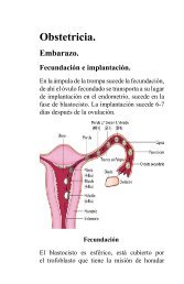 Obstetricia. - eTableros