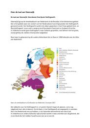 Over de taal van Steenwijk - De Taal van Overijssel