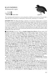 Melanoperdix nigra - BirdBase