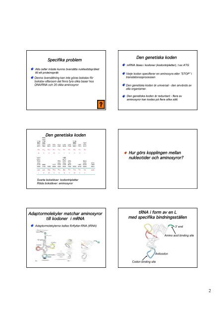 DNA-repair - medvetande.dk