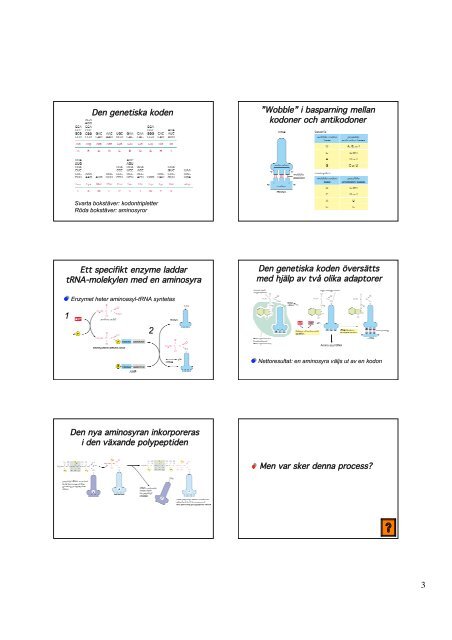 DNA-repair - medvetande.dk