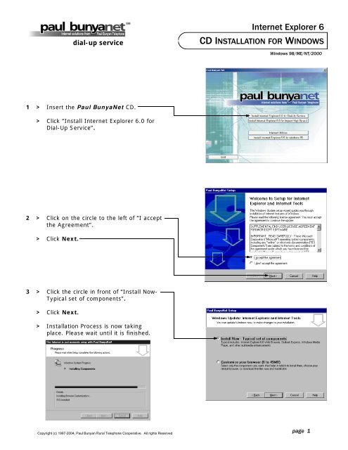 Internet Explorer 6 - Paul Bunyan Communications