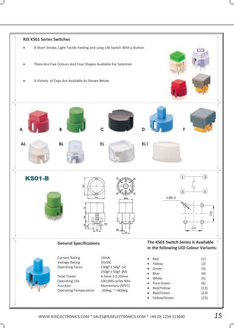 RJS Electronics Limited 2 - RJS ELECTRONICS LTD