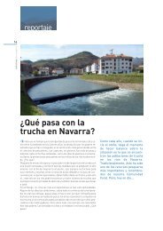 Â¿QuÃ© pasa con la trucha en Navarra? - RÃ­os con Vida