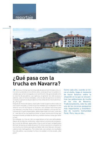 Â¿QuÃ© pasa con la trucha en Navarra? - RÃ­os con Vida