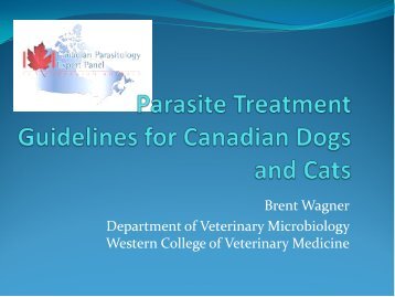 Parasite Treatment Guidelines for Canadian Dogs and Cats - SAVT