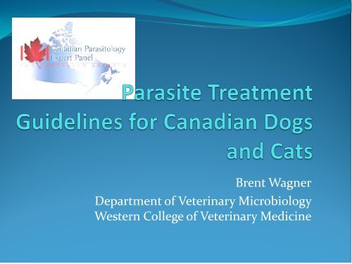 Parasite Treatment Guidelines for Canadian Dogs and Cats - SAVT