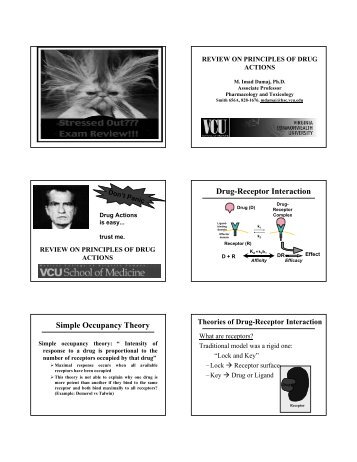 Drug-Receptor Interaction Simple Occupancy Theory