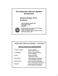 The Autonomic Nervous System Introduction Autonomic Nervous ...