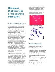 Harmless Diptheroids or Pathogen? - by Hardy Diagnostics