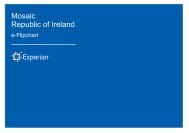 Mosaic Republic of Ireland e-Flipchart - Experian Ireland