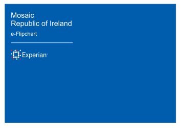 Mosaic Republic of Ireland e-Flipchart - Experian Ireland