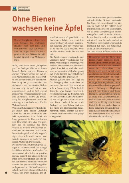 Nationalparkzeitung Nr. 21 - 2007-01 - Nationalpark Berchtesgaden