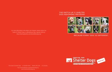 Match-Up II Brochure - Center for Shelter Dogs