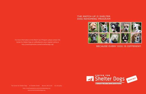 Match-Up II Brochure - Center for Shelter Dogs