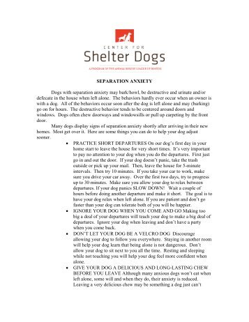 Separation Anxiety - Center for Shelter Dogs