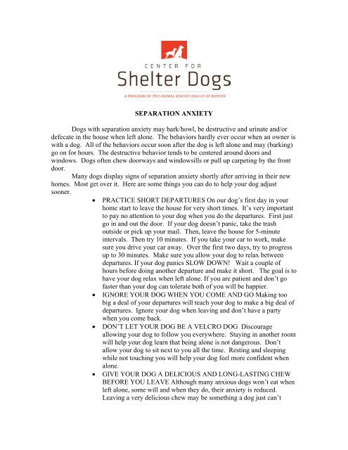 Separation Anxiety - Center for Shelter Dogs