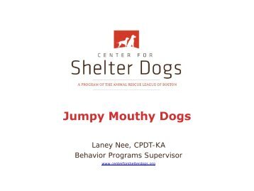 Jumpy Mouthy Dogs - Center for Shelter Dogs