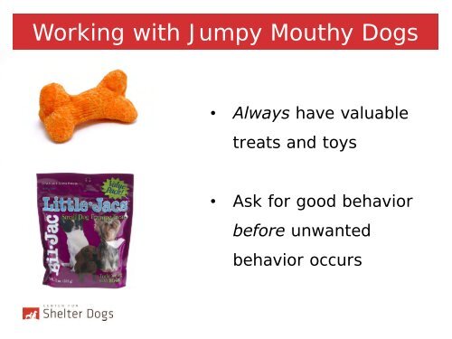 Jumpy Mouthy Dogs - Center for Shelter Dogs