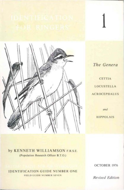 Warbler - British Trust for Ornithology