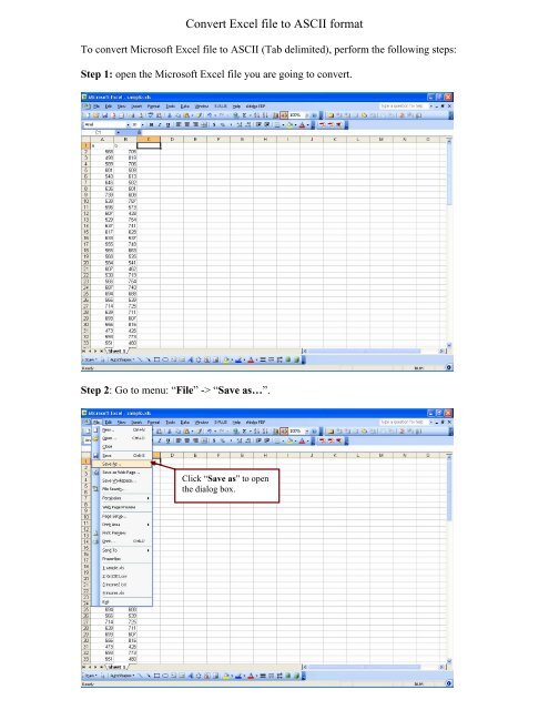 Convert Excel file to ASCII file