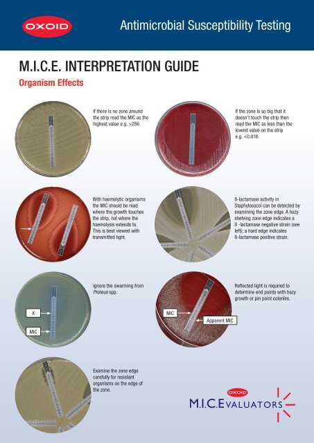 M.I.C.E. INTERPRETATION GUIDE - Oxoid