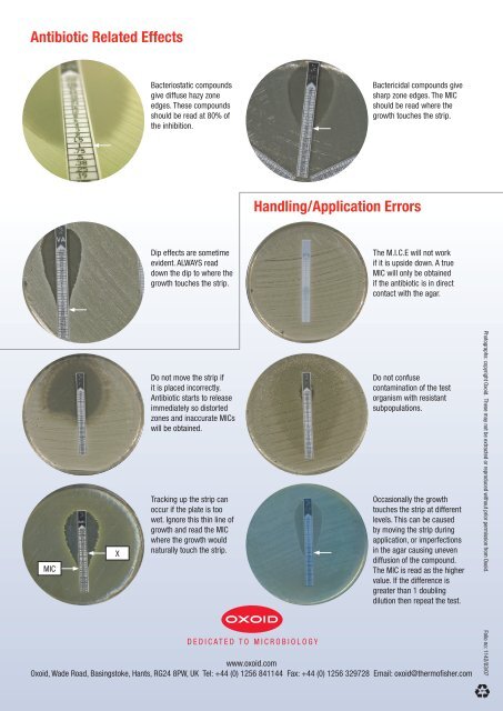 M.I.C.E. INTERPRETATION GUIDE - Oxoid