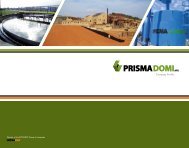 PRISMA DOMI ATE Company Profile - Intrakat