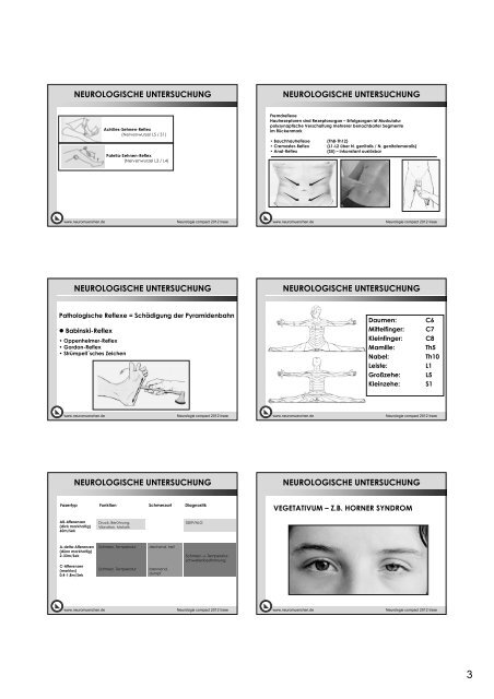 1. Neurologische Untersuchung - Bildungswerk Irsee