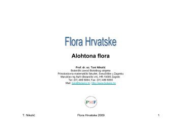 Predavanje br. 9: Alohtona flora