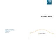 CABAS Basic 2013-1.pdf